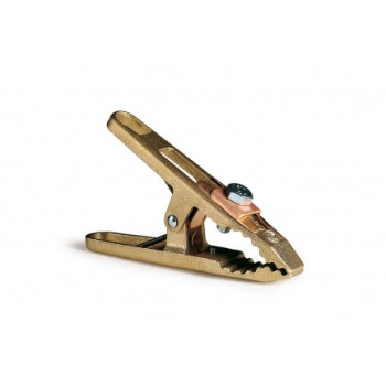 Pince de masse Laiton GAMMA 1