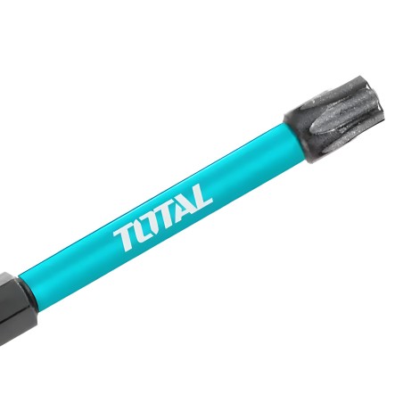 Punte - TORX T25 TACIM71T25 | T25 x 100 mm