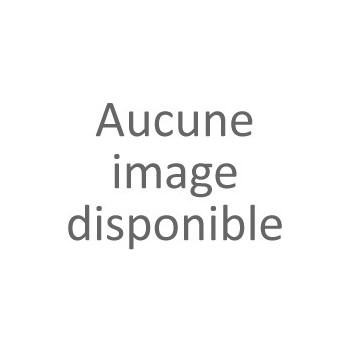 2 Buses à  gaz céramique pour torche PROTIG 10 et 10W